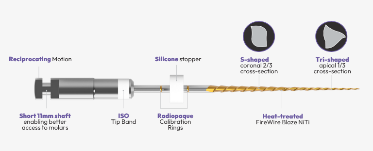 edge-one-r-niti-file-reciprocating-glide-path-endodontics