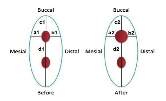 Screen Shot 2018-11-19 at 1.49.41 PM