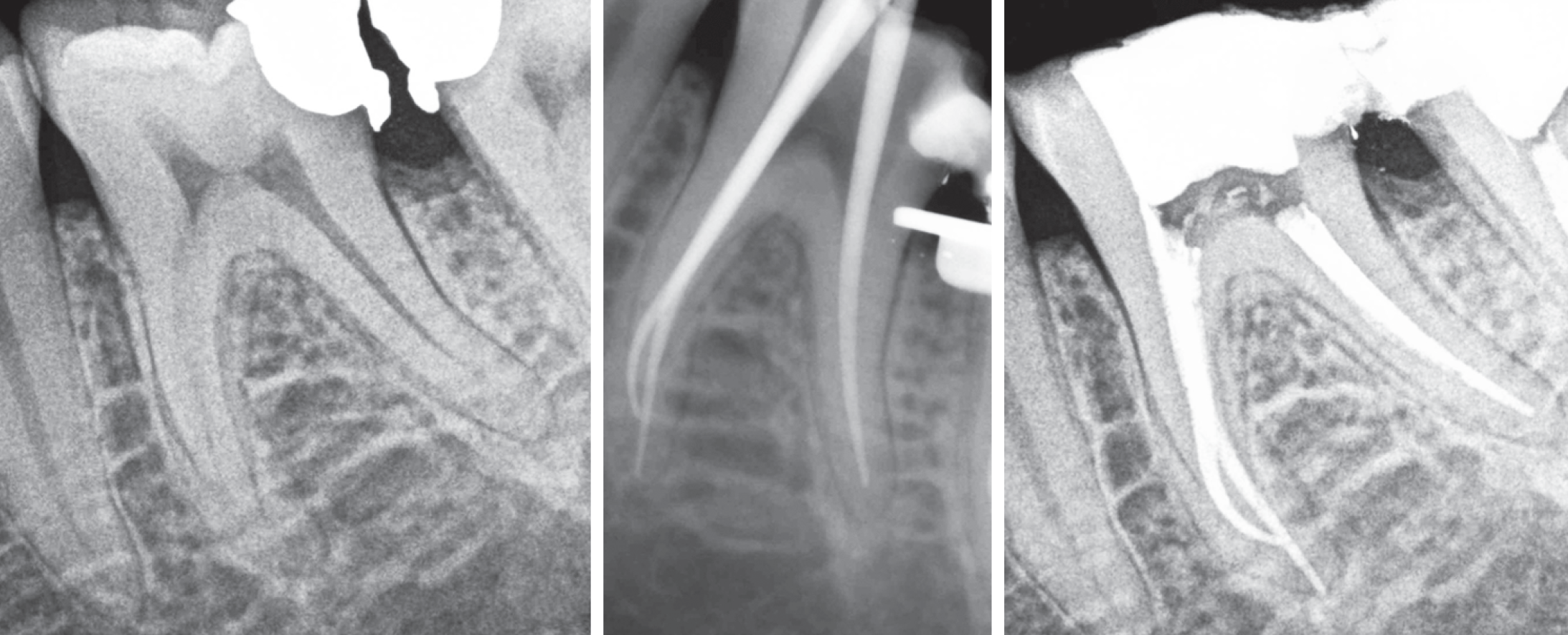 2021-07-12 at 12.09.31 PM